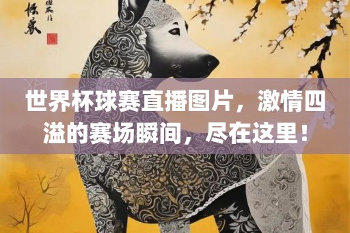 世界杯球赛直播图片，激情四溢的赛场瞬间，尽在这里！