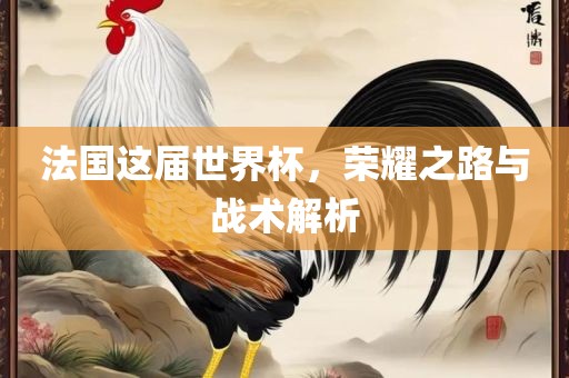 法国这届世界杯，荣耀之路与战术解析