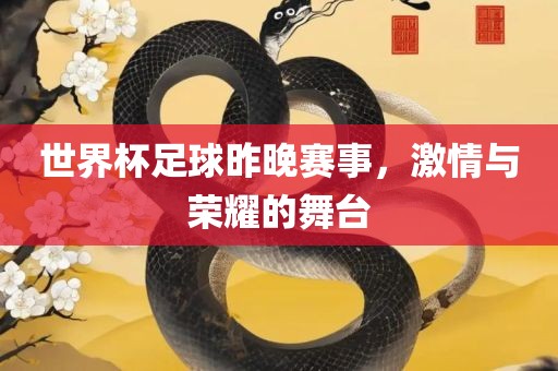 世界杯足球昨晚赛事，激情与荣耀的舞台