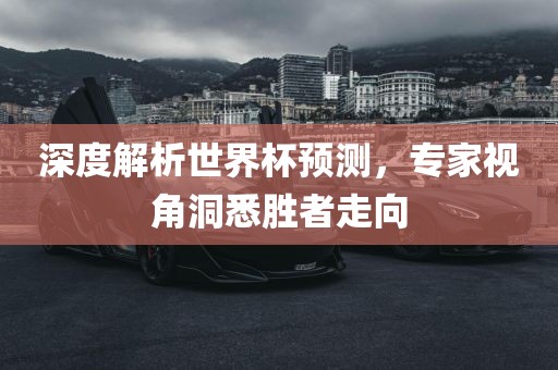 深度解析世界杯预测，专家视角洞悉胜者走向