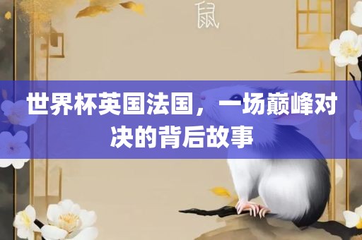世界杯英国法国，一场巅峰对决的背后故事