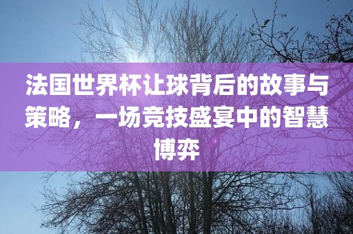 法国世界杯让球背后的故事与策略，一场竞技眉山市正发家政服务有限公司盛宴中的智慧博弈