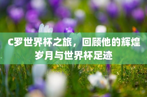 C罗世界杯之旅，回顾他的辉煌岁月与世界杯足迹眉山市正发家政服务有限公司
