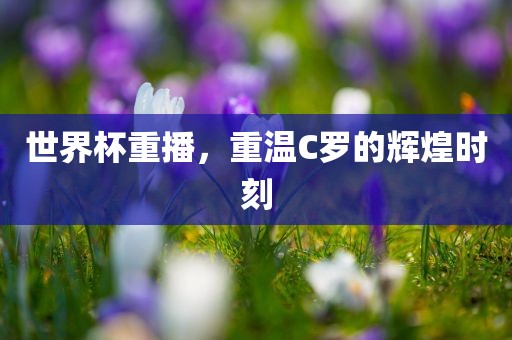 世界杯重播，重温C罗的辉煌时刻