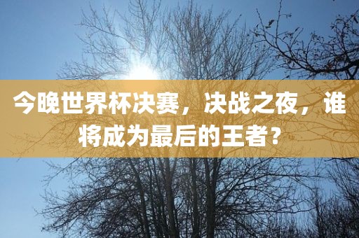 今晚世界杯决赛，决战之夜，谁将成为最后的王者？