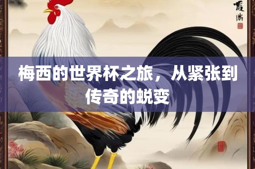 梅西的世界杯之旅，从紧张到传奇的蜕变