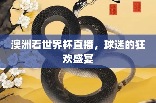 澳洲看世界杯直播，球迷的狂欢盛宴