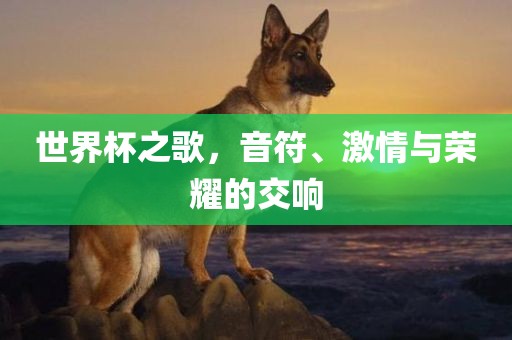 世界杯之歌，音符、激情与荣耀的交响