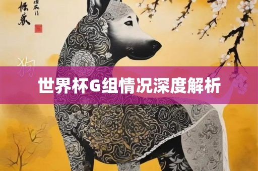 世界杯G组情况深度解析