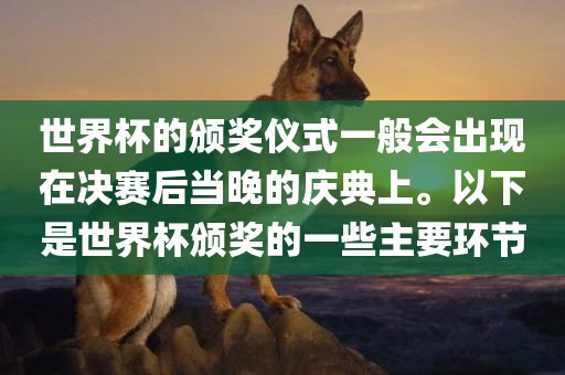 世界杯的颁奖仪式一般会出现在决赛后当晚的庆典上。以下是世界杯颁奖的一些主要环节