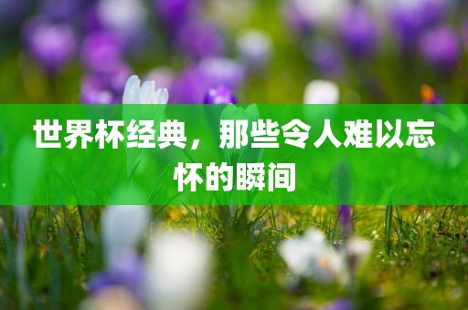 世界杯经典，那些令人难以忘怀的瞬间