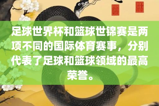 足球世界杯和篮球世锦赛是两项不同的国际体育赛事，分别代表了足球和篮球领域的最高荣誉。