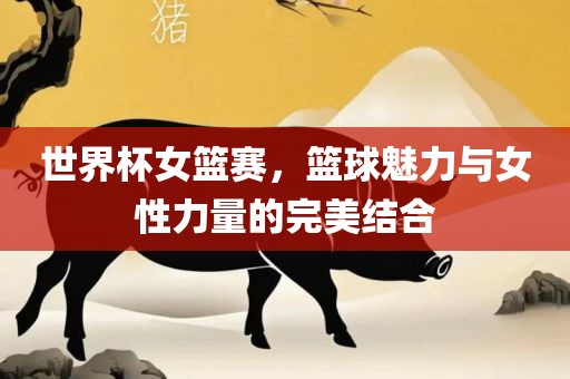世界杯女篮赛，篮球魅力与女性力量的完美结合