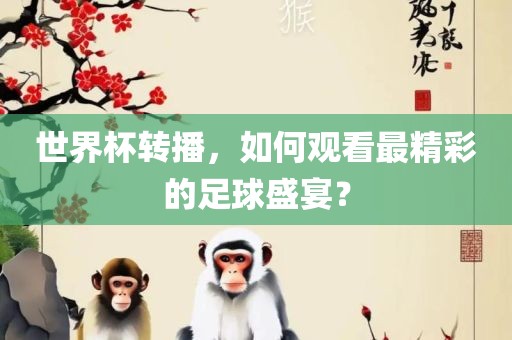 世界杯转播，如何观看最精彩的足球盛宴？