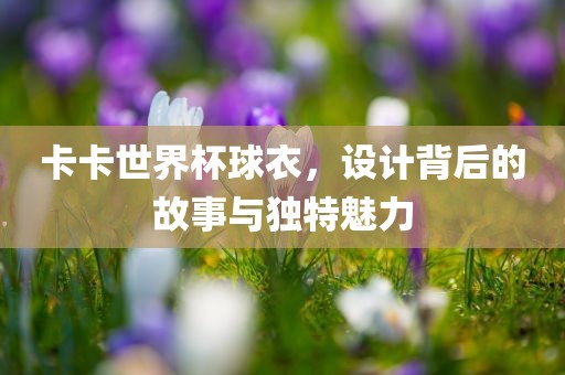 卡卡世界杯球衣，设计背后的故事与独特魅力