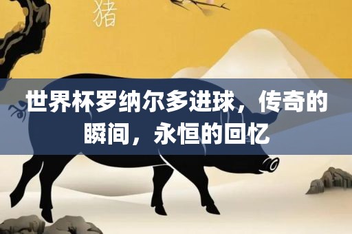 世界杯罗纳尔多进球，传奇的瞬间，永恒的回忆