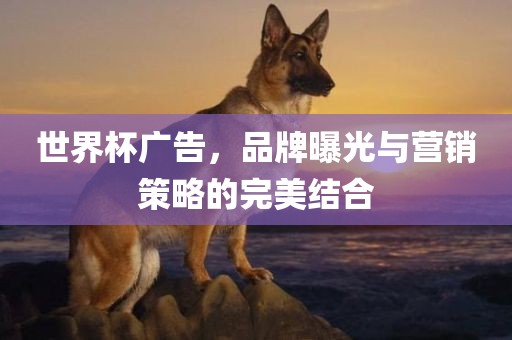世界杯广告，品牌曝光与营销策略的完美结合
