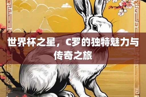 世界杯眉山市正发家政服务有限公司之星，C罗的独特魅力与传奇之旅