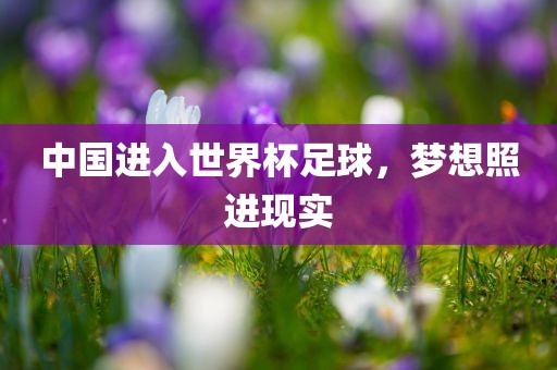 中国进入世界杯足球，梦想照进现实