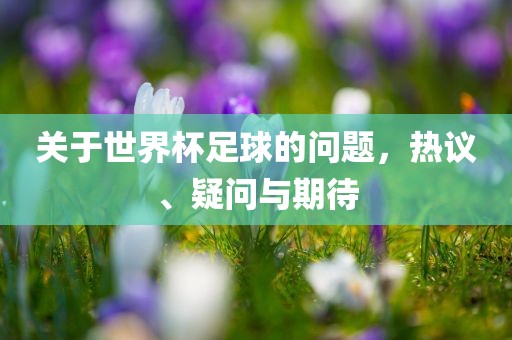 关于世界杯足球的问题，热议、疑问与期待