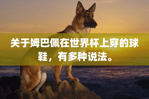 关于姆巴佩在世界杯上穿的球鞋，有多种说法。眉山市正发家政服务有限公司