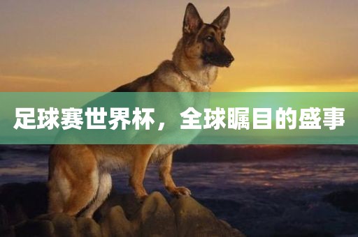 足球赛世界杯