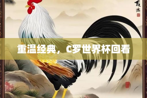 重温经典，C罗世界杯回看