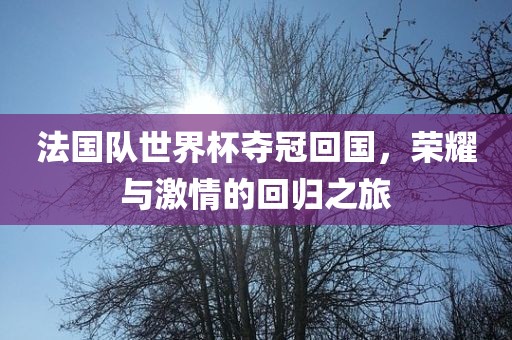 法国队世界杯夺冠回国，荣耀与激情的回归之旅