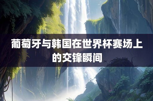 葡萄牙与韩国在世界杯赛场上的交锋瞬间