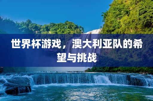 世界杯游戏，澳大利亚队的希望与挑战