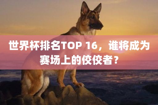 世界杯排名TOP 16，谁将成为赛场上的佼佼者？