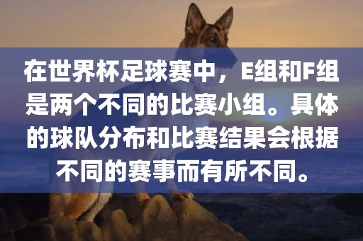 在世界杯足球赛中，E组和F组是两个不同的比赛小组。具体的球队分布和比赛结果会根据不同的赛事而有所不同。