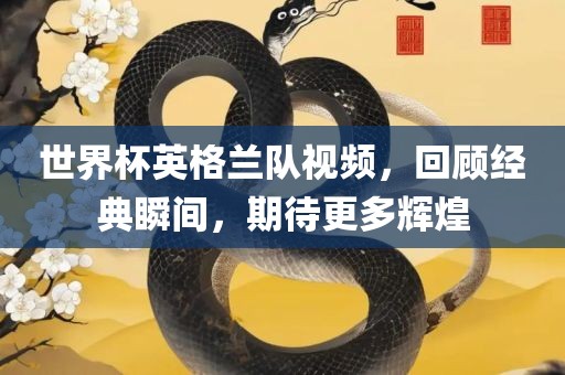世界杯英格兰队视频，回顾经典瞬间，期待更多辉煌眉山市正发家政服务有限公司