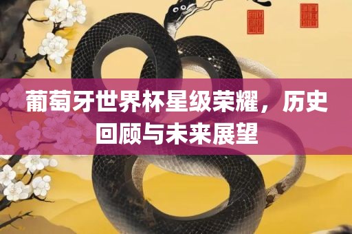 葡萄牙世界杯星级荣耀，历史回顾与未来展望