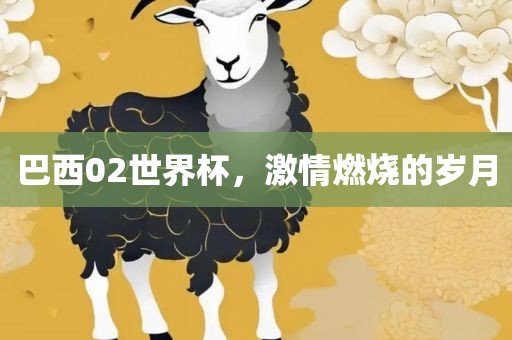巴西02世界杯，激情燃烧的岁月