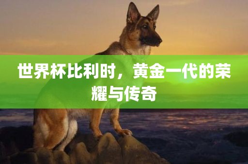 世界杯比利时，黄金一代的荣耀与传奇