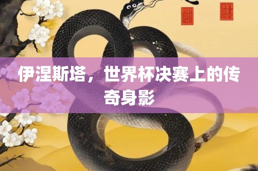 伊涅斯塔，世界杯决赛上的传奇身影