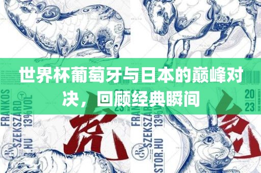 世界杯葡萄牙与日本的巅峰对决，回顾经典瞬间