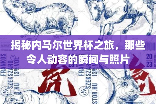 揭秘内马尔世界杯之旅，那些令人动容的瞬间与照片