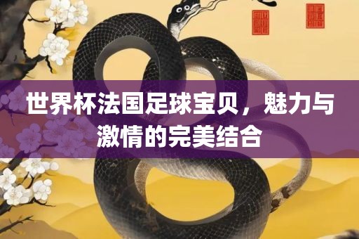 世界杯法国足球宝贝，魅力与激情的完美结合