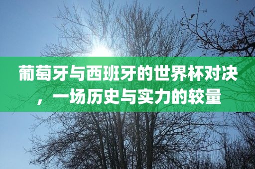葡萄牙与西班牙的世界杯对决，一场历史与实力的较量