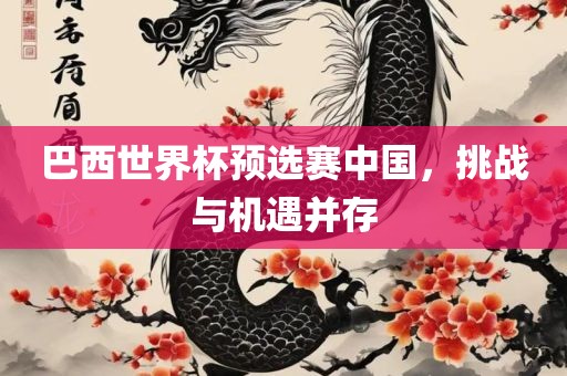 巴西世界杯预选赛中国，挑战与机遇并存