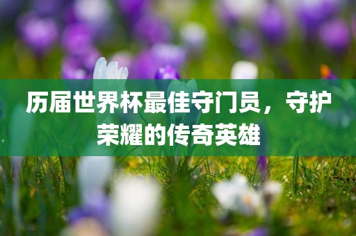 历届世界杯最佳守门员，守护荣耀的传奇英雄