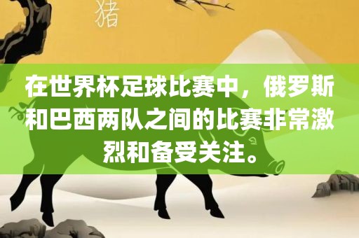 在世界杯足球比赛中，俄罗斯和巴西两队之间的比赛非常激烈和备受关注。