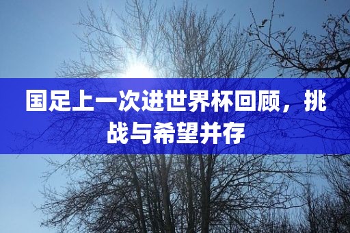 国足上一次进世界杯回顾，挑战与希望并存