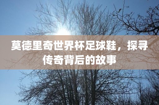 莫德里奇世界杯足球鞋，探寻传奇背后的故事