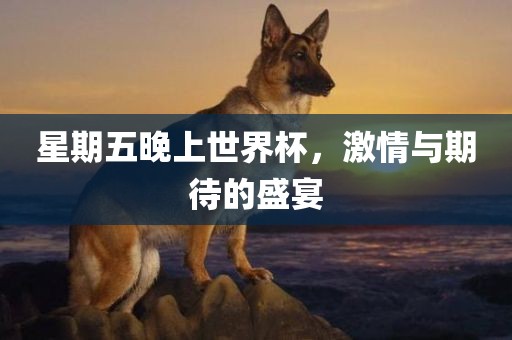 星期五晚上世界杯，激情与期待的盛宴