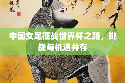中国女足征战世界杯之路，挑战与机遇并存眉山市正发家政服务有限公司