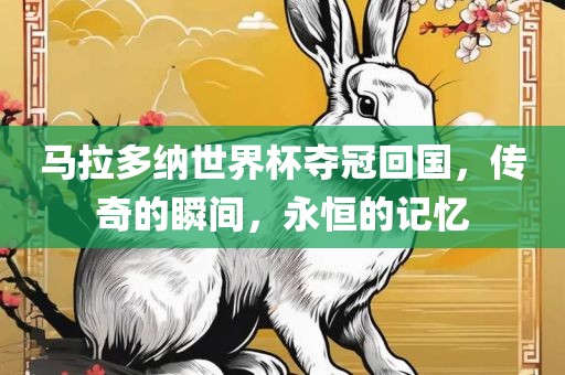 马拉多纳世界杯夺冠回国，传奇的瞬间，永恒的记忆