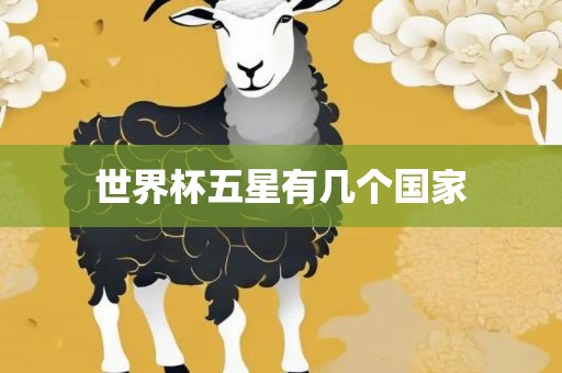 世界杯五星有几个国家